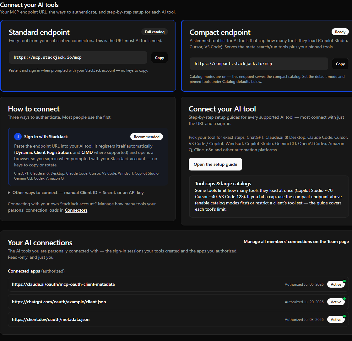 The MCP Setup connection section with Standard and Compact endpoint cards, sign-in guidance, setup-guide link, and authorized-app summary
